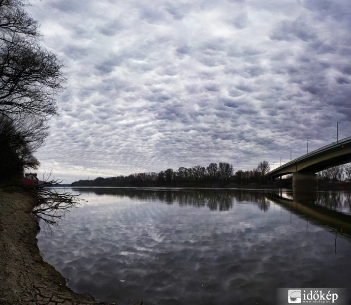 Altocumulus stratiformis opacus mamma