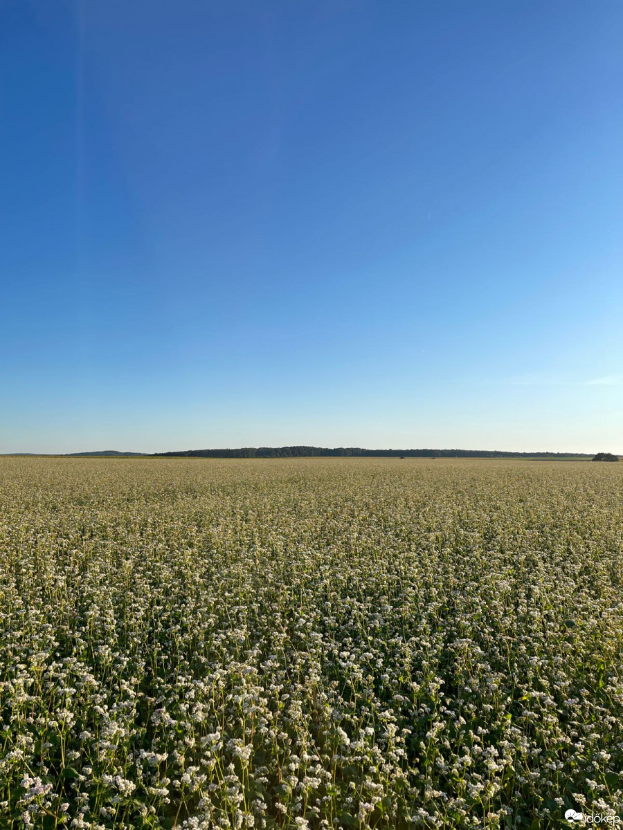 Dürnbach im Burgenland