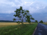 Veszprém