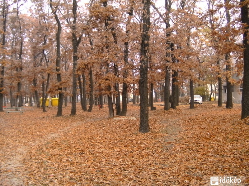 Természetközelben...