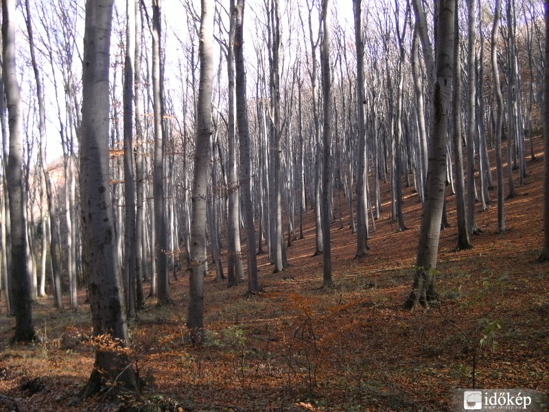 Kőszegi-hegységben