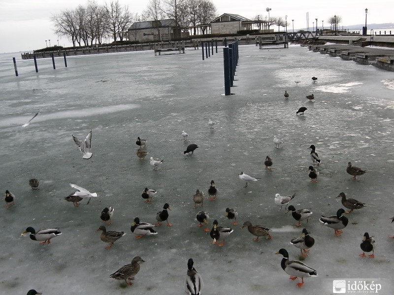 Balatonfüred