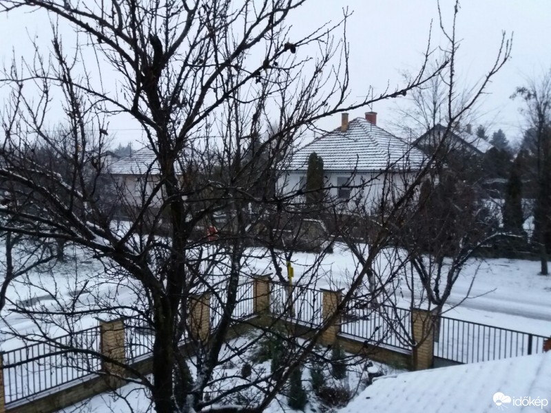 Észlelési fényképek