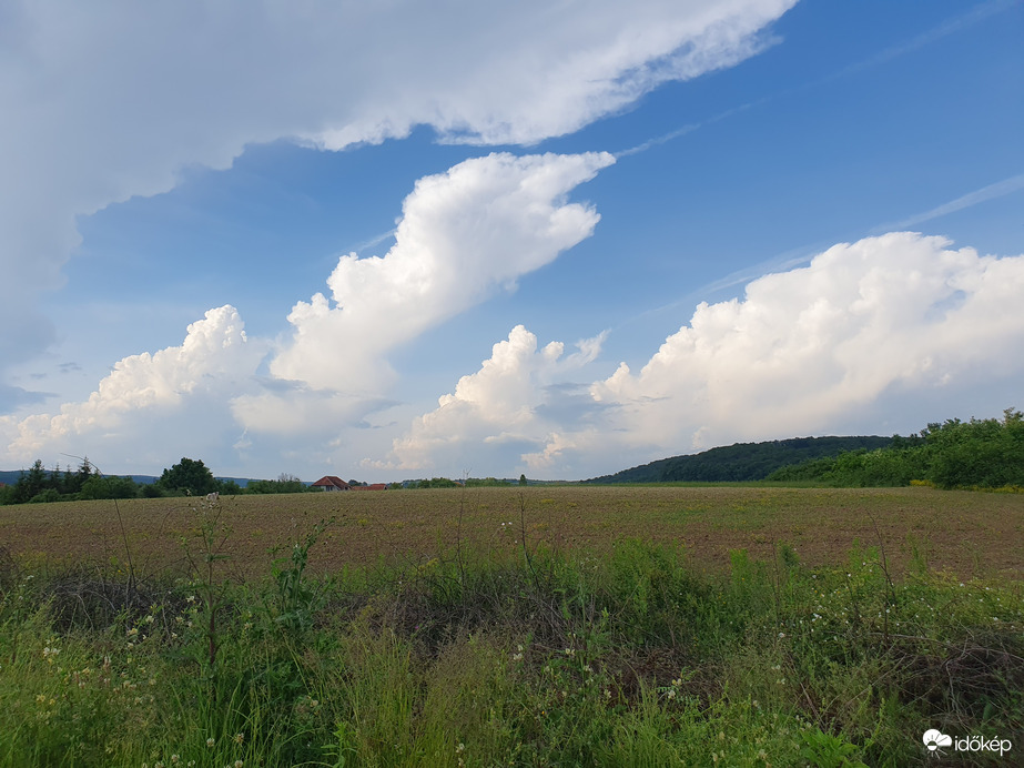 Észlelési fényképek