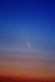 Panstarrs