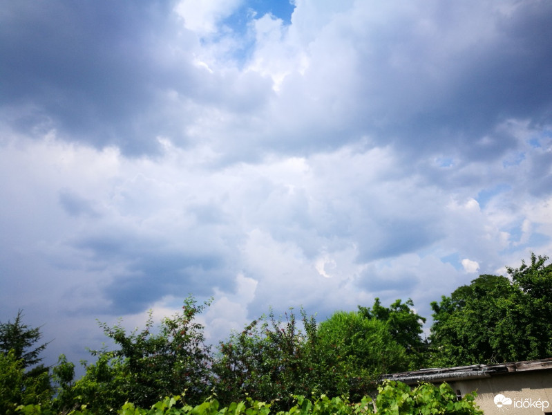 Észlelési fényképek