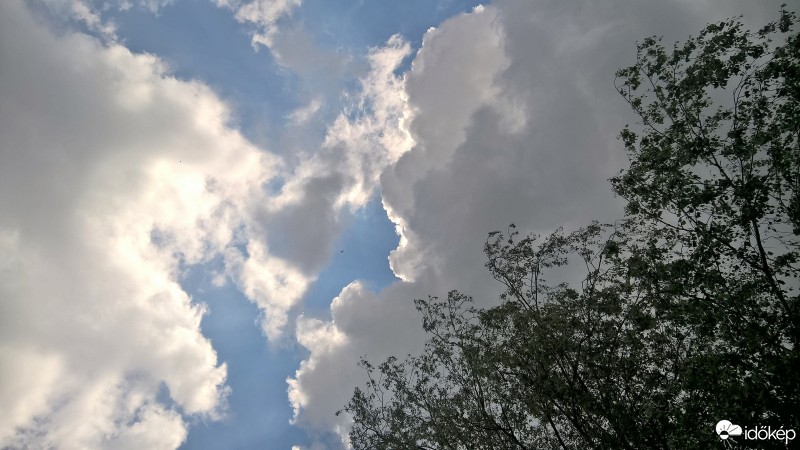 Észlelési fényképek