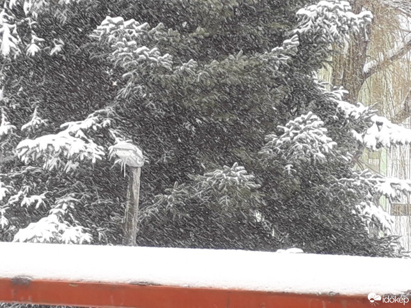 Észlelési fényképek