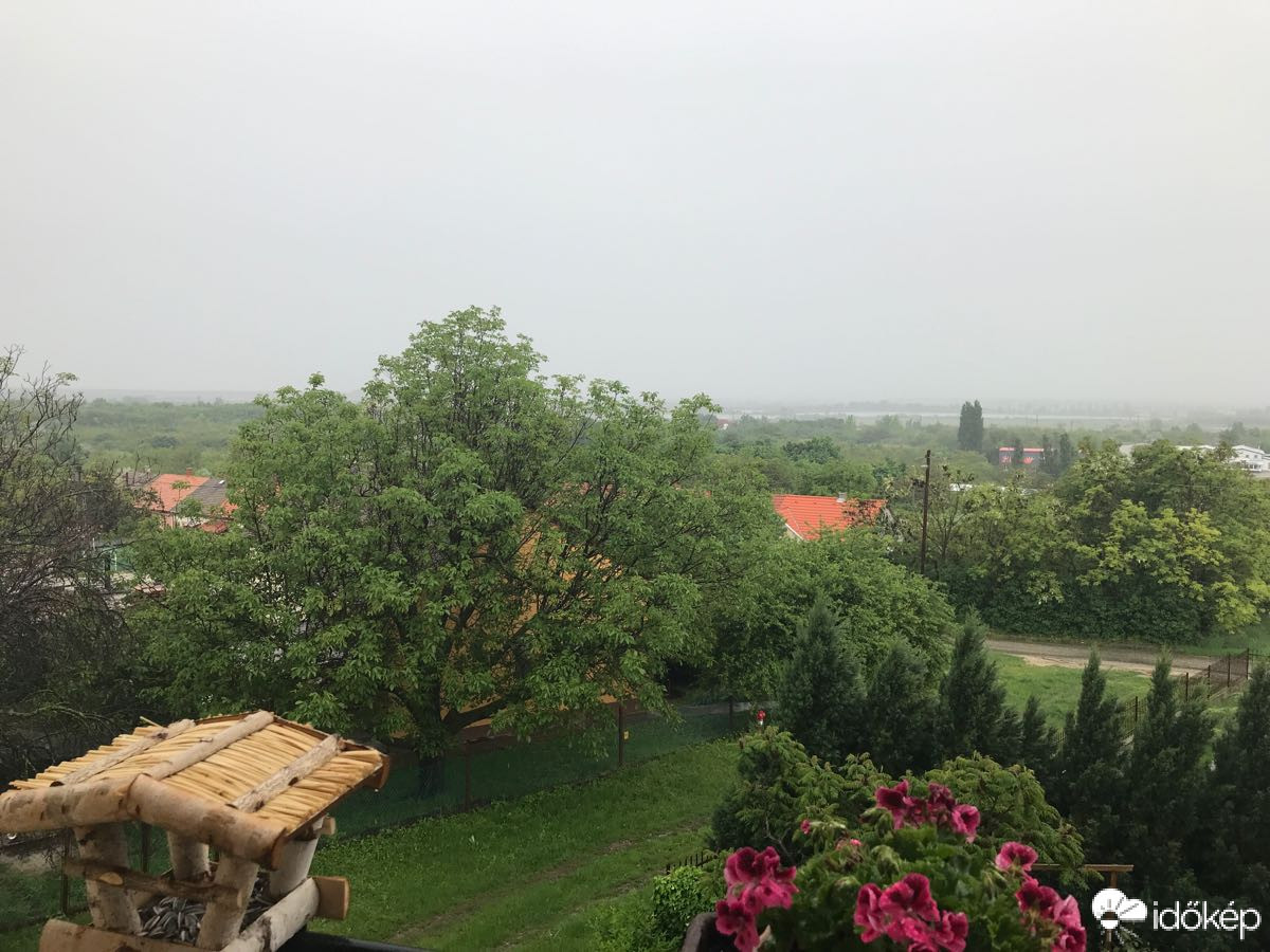 Észlelési fényképek