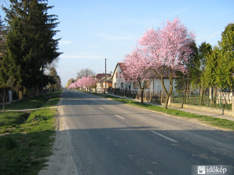 Kiskorpád, Petőfi u., 2007.03.16.