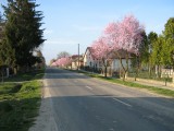 Kiskorpád, Petőfi u., 2007.03.16.