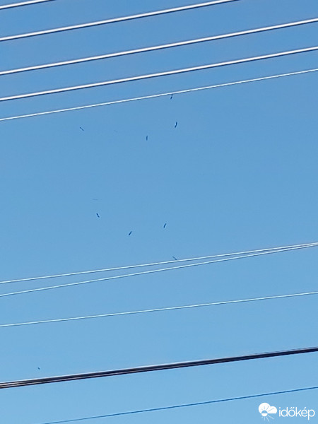 Észlelési fényképek