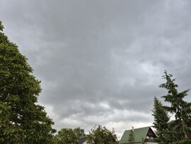 Nyírszőlős