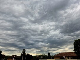 Nyírszőlős