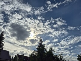 Nyírszőlős