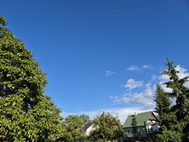 Nyírszőlős