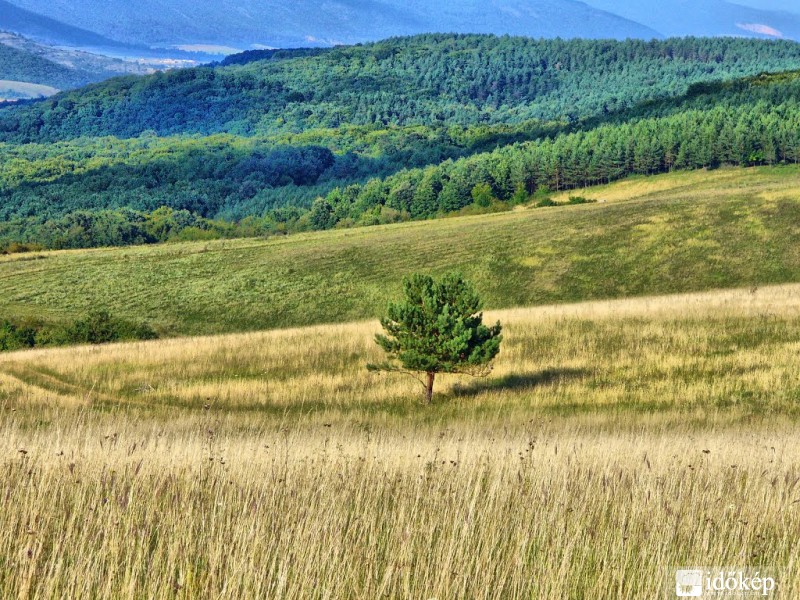 Augusztus végi táj