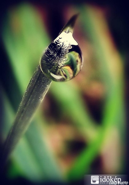 Vízcsepp ....egy kicsit másképp! 