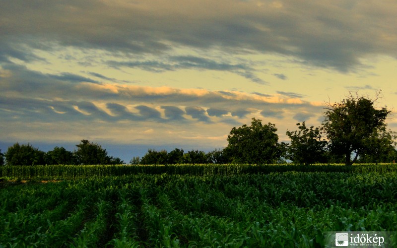 Bátya, 2015.06.24. 19:50