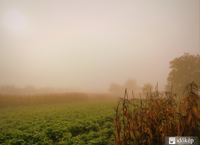 Bátya, reggeli ködös 7:48