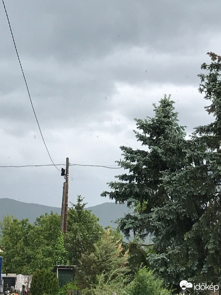 Észlelési fényképek