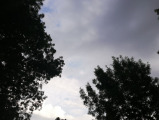 Szarvas