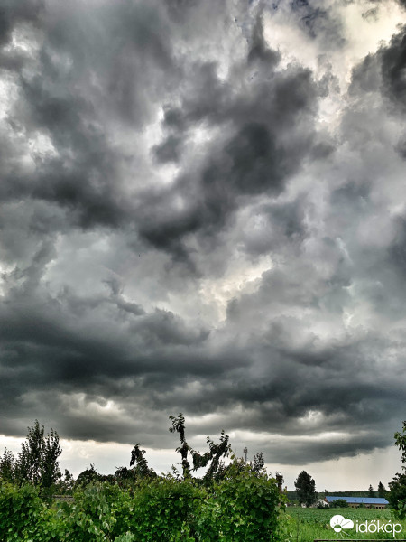 Észlelési fényképek