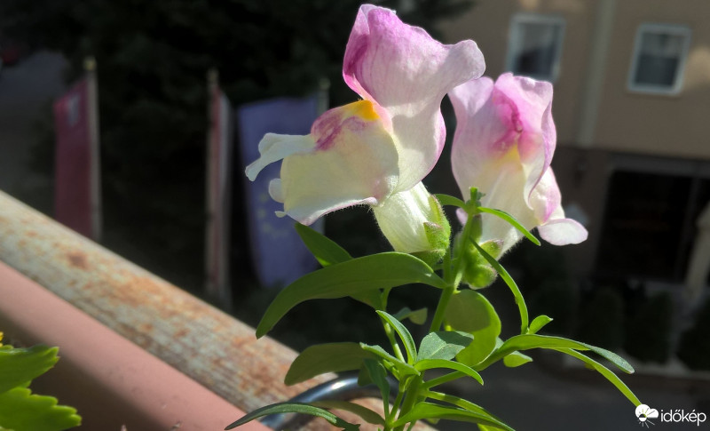 Budapest VIII.ker - Józsefváros