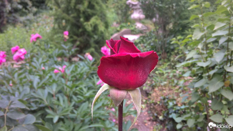 Budapest X.ker - Kőbánya