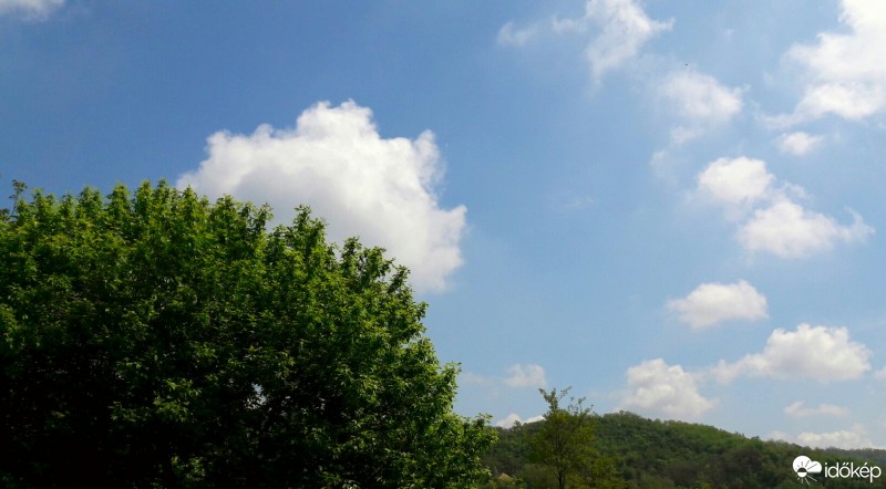 Észlelési fényképek