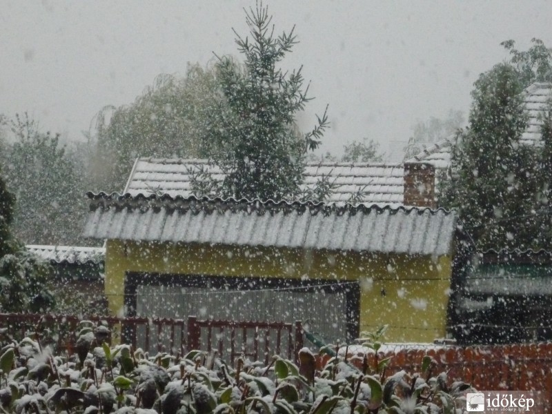 Pásztó