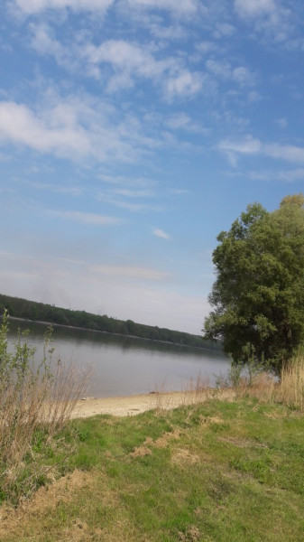 Dunavecse