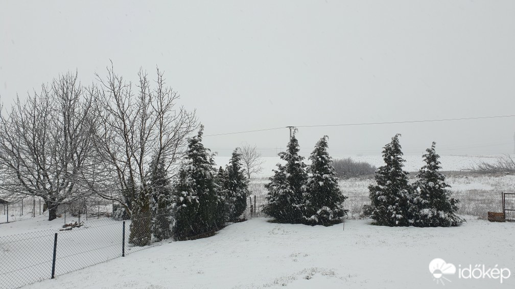 Észlelési fényképek