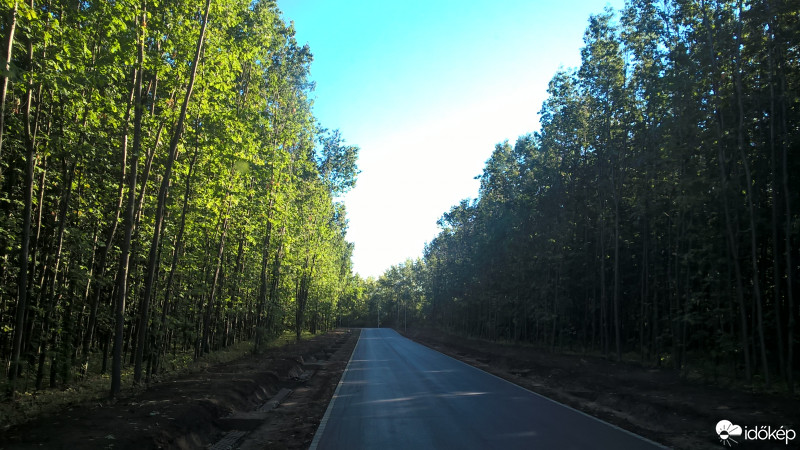 Észlelési fényképek