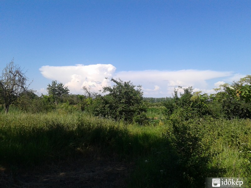 Észlelési fényképek