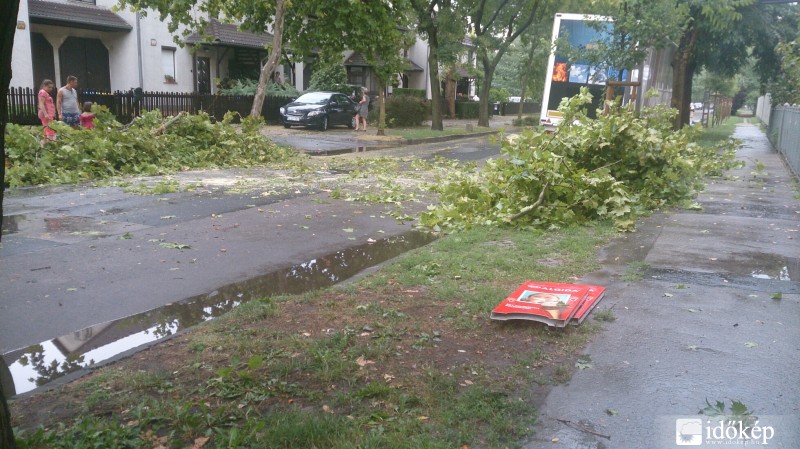 Észlelési fényképek