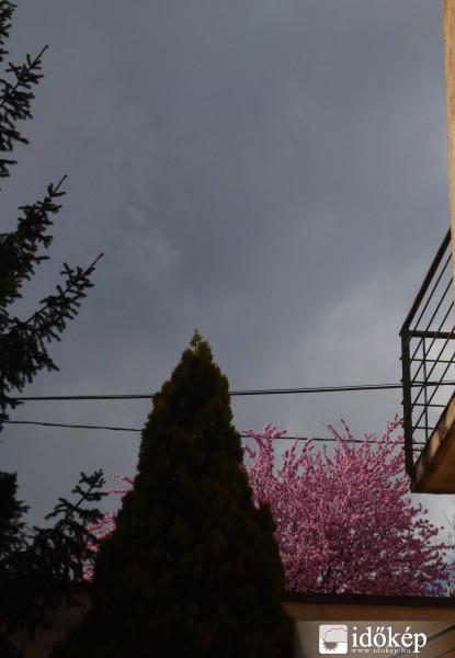 Gödöllő, 2014. 03. 26., 11:21