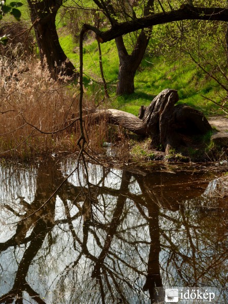 Gödöllő, Úrréti tó
