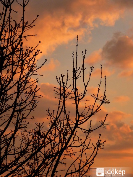 Tölgy ágak a látképben :)