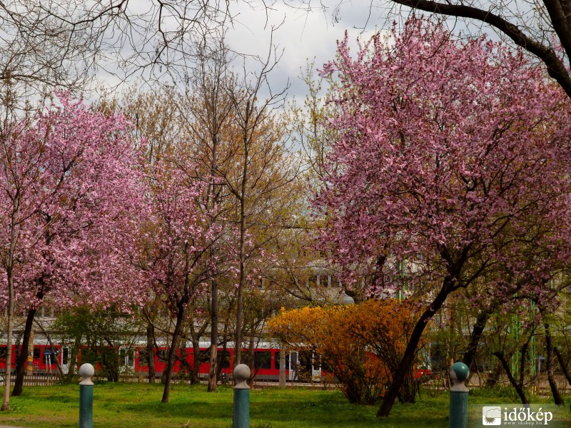 Tavaszi színkavalkád