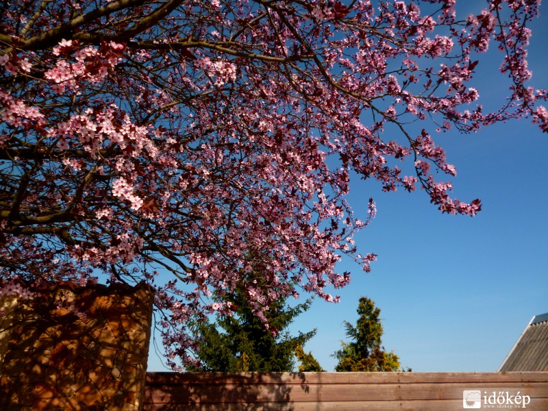 Igazi tavaszias nap