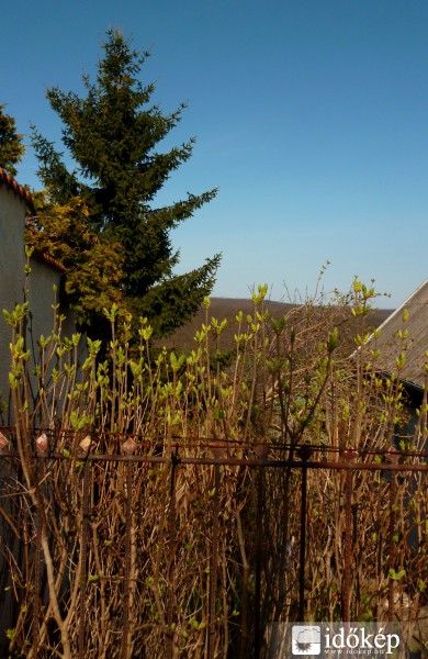 Zöld és kék harmóniája a természetben