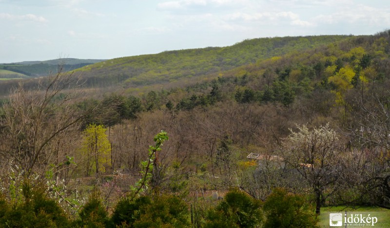 Üde zöld színek :)