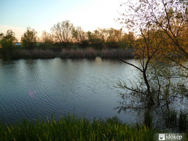 Úrréti - tó tavasszal
