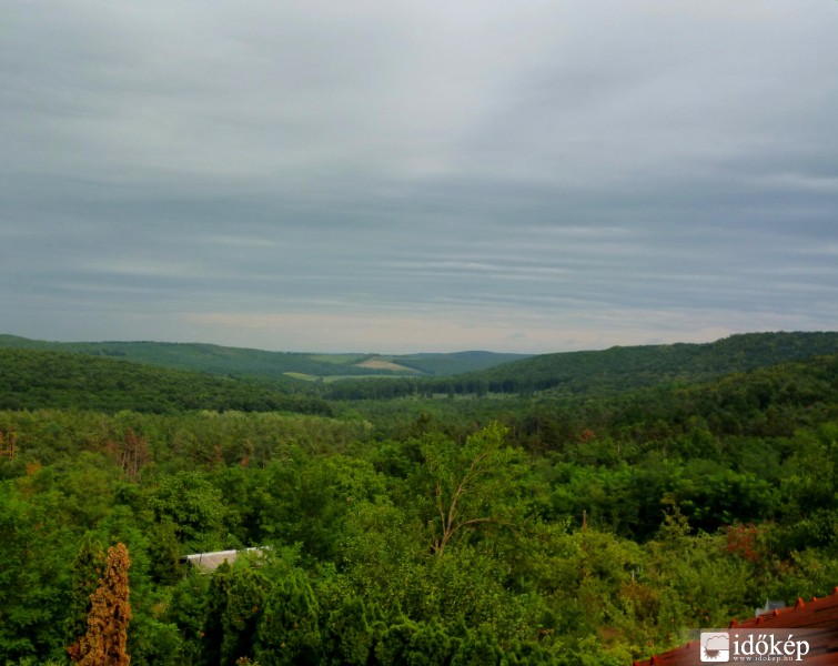 Gödöllő (ma 15:29-kor)