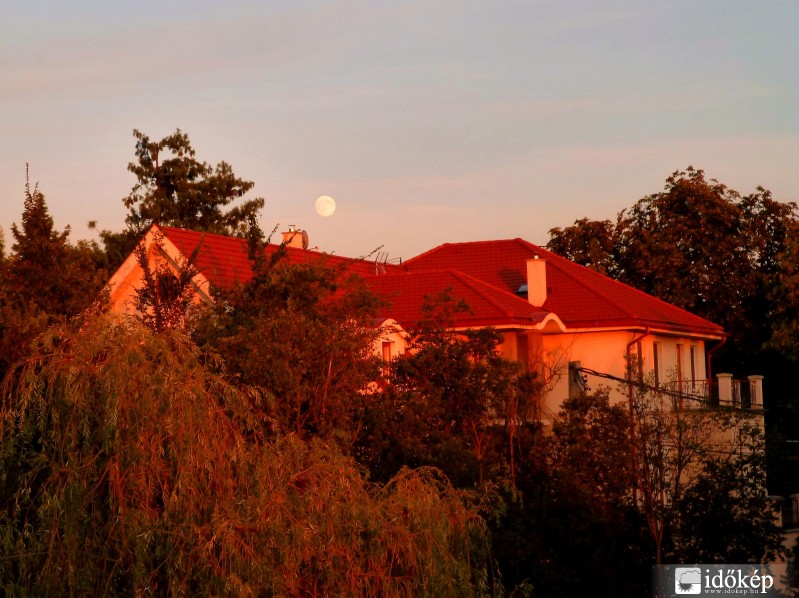 Hold a naplemente fényében