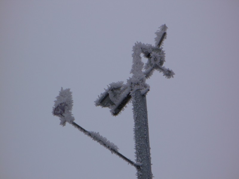 1 cm vastag zúzmara