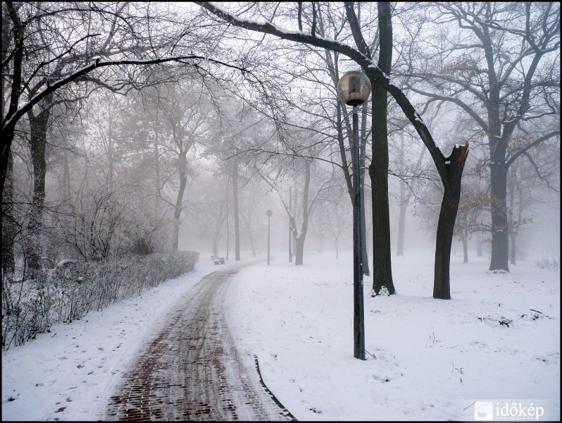Orosháza gyopárosi erdő