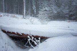 Sopron - Brennbergbánya