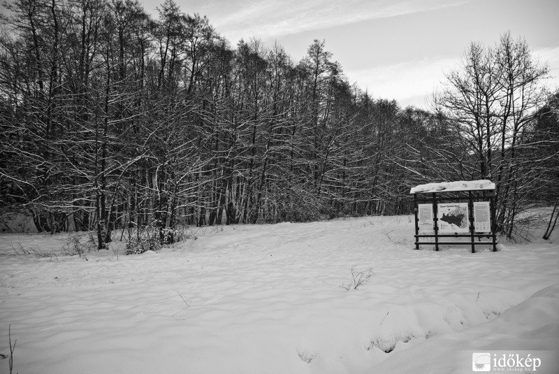 Sopron - Úttörőtábor